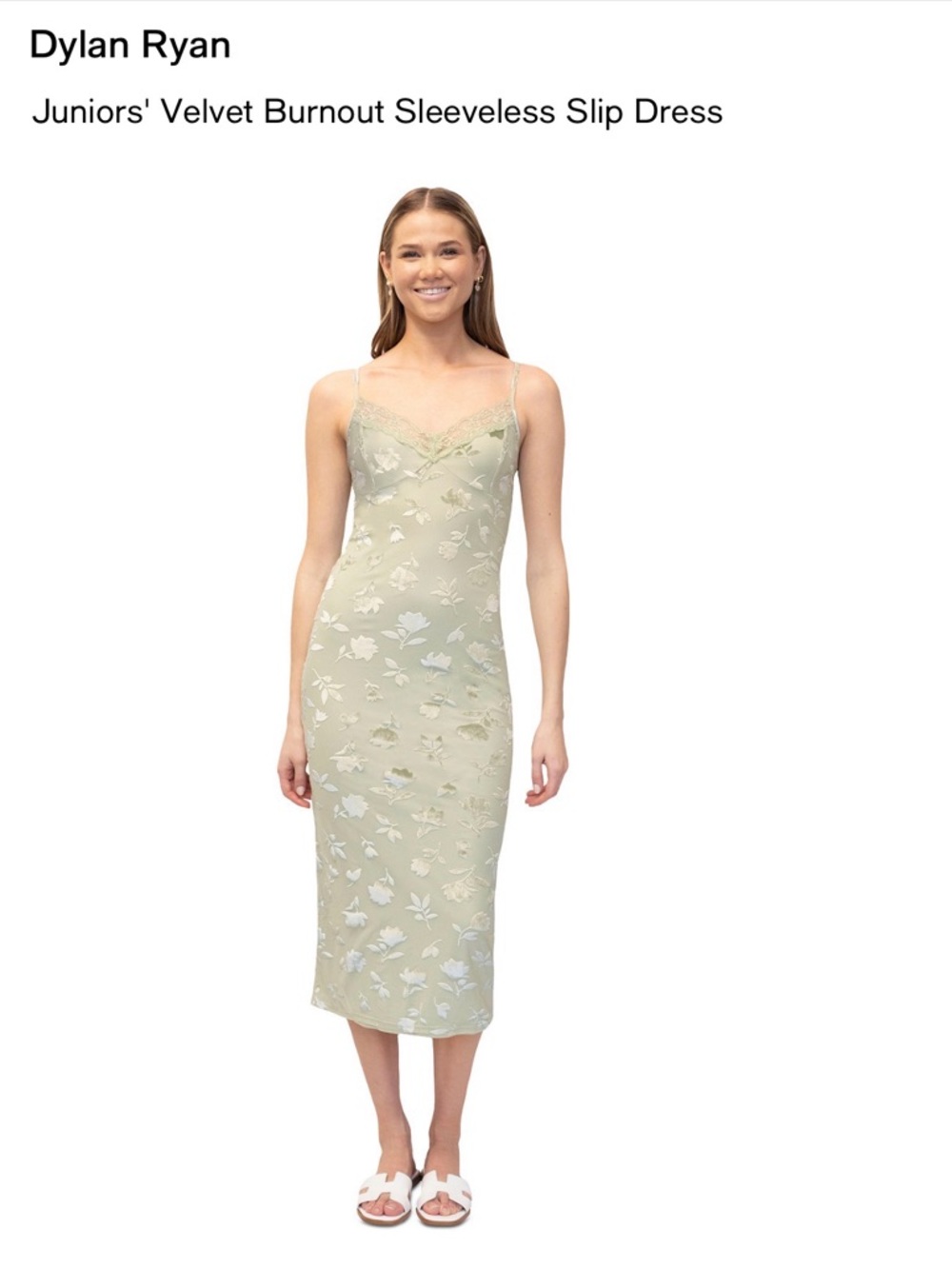 Dylan Ryan Sage Floral Velvet Burnout Slip Dress